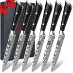 SHAN ZU Coltelli da bistecca in acciaio inossidabile con confezione regalo premium