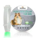 Woyamay Collare Antiparassitario per Cani - Protezione Naturale e Regolabile
