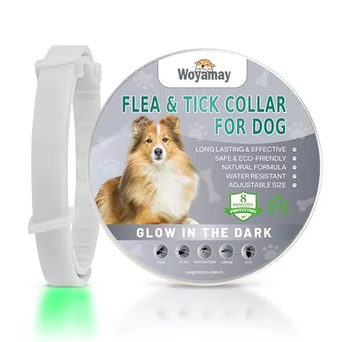 Woyamay Collare Antiparassitario per Cani - Protezione Naturale e Regolabile
