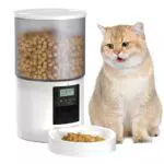 PetSafe Distributore Automatico Cibo Gatti con Timer Programmabile per 1-6 Pasti