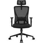 Durrafy Sedia da Ufficio Ergonomica con Schienale Alto e Poggiatesta Regolabile