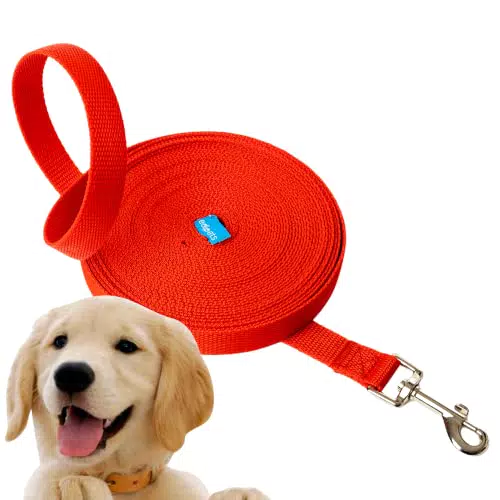 Edipets Guinzaglio Lungo per Cani in Nylon - Resistente e Leggero