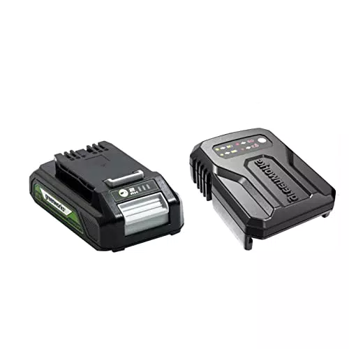 Greenworks Batteria 24V 2Ah agli Ioni di Litio e Caricabatterie Universale