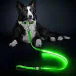 Guinzaglio Luminoso Ricaricabile Impermeabile per Cani con 3 Modalità di Illuminazione
