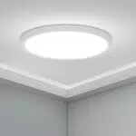 HOMEOW Plafoniera LED Soffitto 18W 2146LM Ultrasottile Ø220mm 6000K