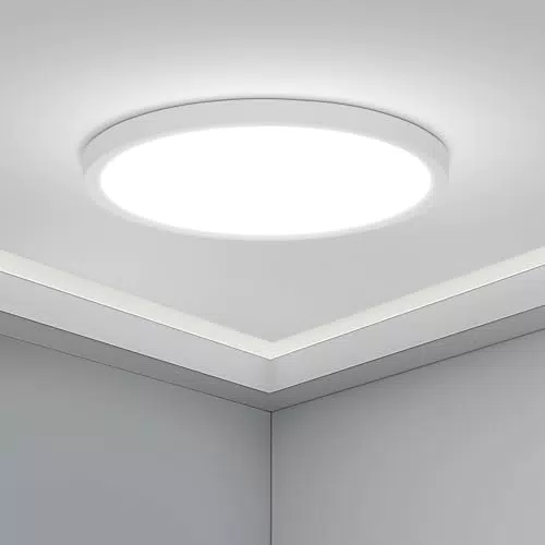 HOMEOW Plafoniera LED Soffitto 18W 2146LM Ultrasottile Ø220mm 6000K