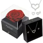 LIHELEI Rosa Eterna con Collana e Orecchini in Argento 925 - Regalo per Occasioni Speciali