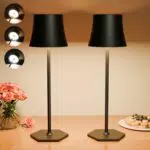 Tyonto Lampada LED Ricaricabile Senza Fili per Interni ed Esterni con 3 Temperature di Colore
