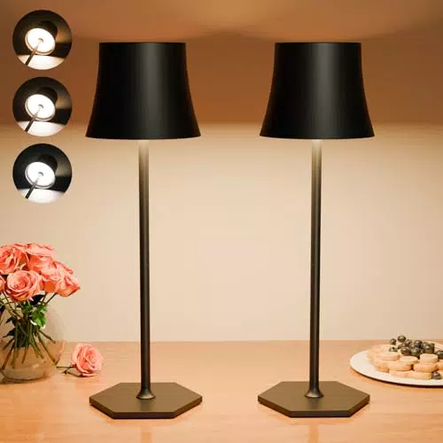 Tyonto Lampada LED Ricaricabile Senza Fili per Interni ed Esterni con 3 Temperature di Colore