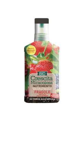 BLUMEN GROUP CONCIME LIQUIDO PER FRAGOLE, MIRTILLI, FRUTTI DI BOSCO - CRESCITA MIRACOLOSA BIO 200M