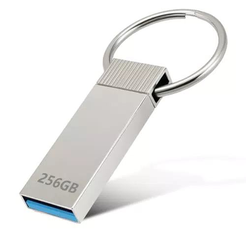 Chiavetta USB 256GB, Alta Velocità Pen Drive 3.0 Metallo Chiavette USB Impermeabile Pendrive Argento Flash Drive Capacità di Memorizzazione dei Dati Elevata