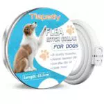 Collare Antiparassitario per Cani Regolabile 63.5cm