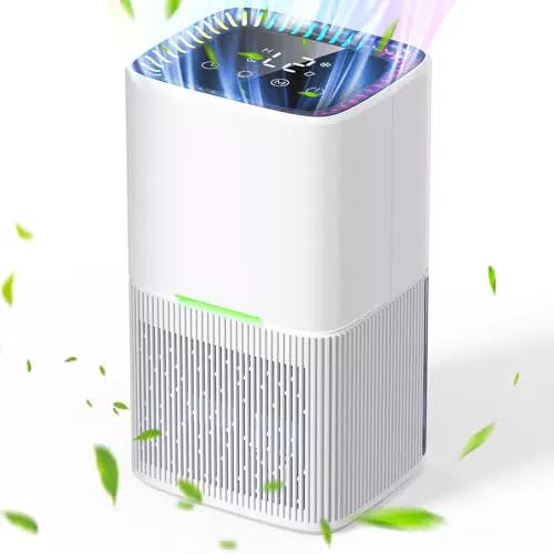 Deumidificatore 1.8L, Deumidificatore Casa Portatile Piccolo Elettrico Silenzioso con Timer