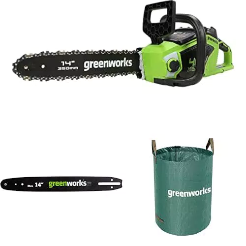 Greenworks Motosega a Batteria con Motore Brushless
