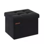 SONGMICS Pouf Pieghevole, Cassapanca in Velluto, Contenitore con Coperchio