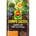 Compo Cactea Terriccio per Cactacee per una crescita sana delle piante
