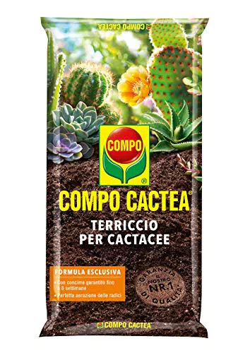 Compo Cactea Terriccio per Cactacee per una crescita sana delle piante