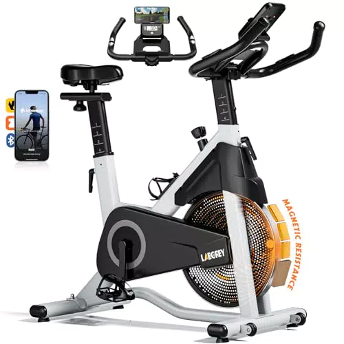 LABGREY Cyclette Professionale, Bicicletta ad attrito Indoor da Camera con Schermo LCD e Portabicchieri