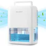 QEXREED Deumidificatore Casa 1800 ml, Semiconduttore Doppio
