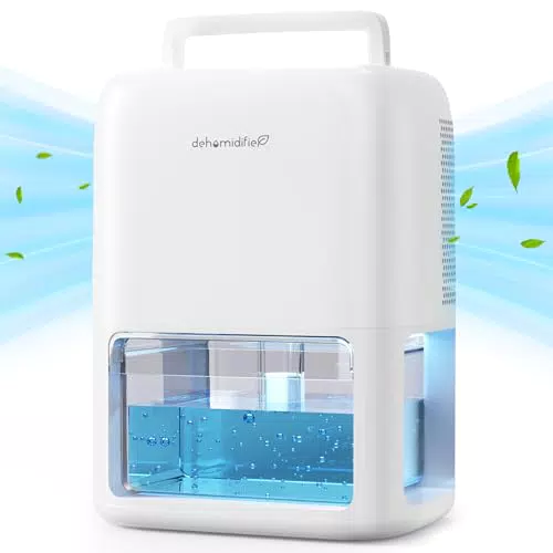 QEXREED Deumidificatore Casa 1800 ml, Semiconduttore Doppio