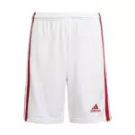 Adidas Squadra 21 Shorts per Bambino - Pantaloncini Sportivi