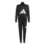 Adidas Essentials Big Logo Climacool Tracksuit per Bambini Unisex