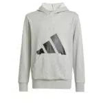 adidas Hoodie Unisex Bambini Essentials Big Logo