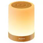 Auxmir Lampada da Comodino LED Touch Ricaricabile con Funzione Timer e 5 Luminosità