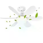 BuzzoXerex Ventilatore da Soffitto con Luce e Telecomando Super Silenzioso