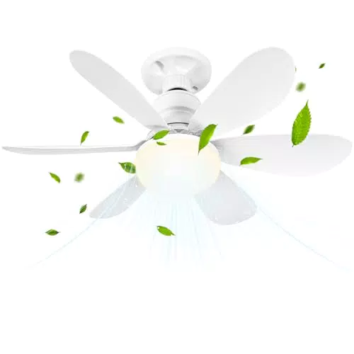 BuzzoXerex Ventilatore da Soffitto con Luce e Telecomando Super Silenzioso