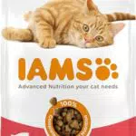 IAMS Cibo Secco con Salmone per Gatti Adulto - Nutrizione Completa e Gustosa