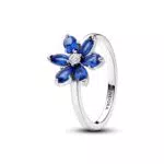Pandora Anello senza tempo Herbarium 193000C01