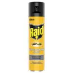Raid Insetticida Spray per Vespe e Calabroni - Azione Rapida per Uso Interno