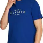 Tommy Hilfiger T-Shirt Uomo Maniche Corte Big Regular Fit