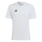 Adidas Entrada 22 Tee - T-Shirt Uomo
