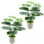 AIVORIUY Pianta Artificiale Monstera in Vaso da Interno per Decorazioni Moderne