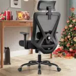 DoChair Sedia Ergonomica Ufficio con Supporto Lombare e Braccioli Regolabili