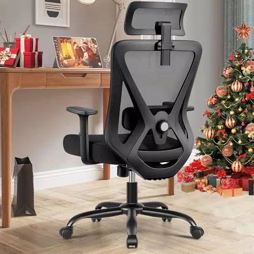 DoChair Sedia Ergonomica Ufficio con Supporto Lombare e Braccioli Regolabili