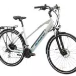 F.lli Schiano E-Wave Bici Elettrica da Trekking 28 36V 250W Motore 50Nm