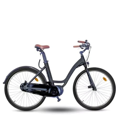 Lexgo CT26 Bici Elettrica con Velocità Fino a 25 km/h e Ricarica Rapida