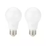 Amazon Basics Lampadina Edison LED E27 8 W (60 W equivalenti) Non Dimmerabile