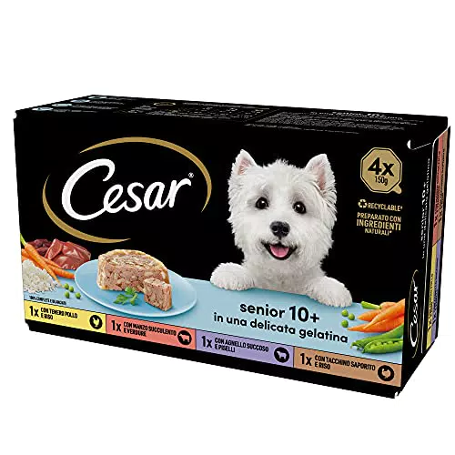 Cesar Senior Cibo per Cane Anziano Selezione Assortita Vaschette 24 Unità
