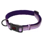 Halti Collare Comfort Regolabile con Imbottitura in Neoprene e Tessuto Catarifrangente