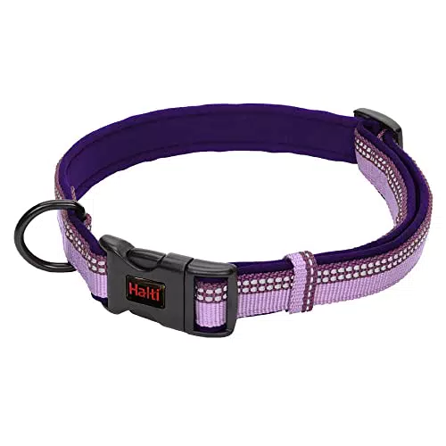 Halti Collare Comfort Regolabile con Imbottitura in Neoprene e Tessuto Catarifrangente