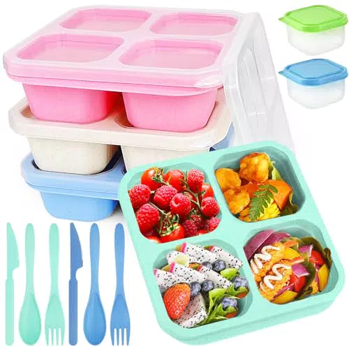 DONQL Lunch Box Bento Riutilizzabile per Snack e Frutta con Posate e Salse