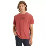 Levi's Graphic Crewneck T-Shirt