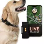 PAJ Tracker per Cani 4G - Monitoraggio in Tempo Reale e Allarmi di Fuga