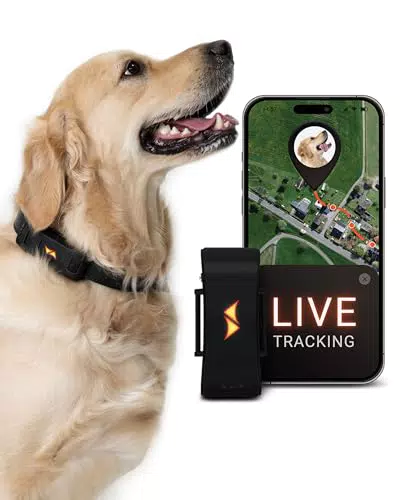 PAJ Tracker per Cani 4G - Monitoraggio in Tempo Reale e Allarmi di Fuga
