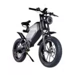 RZOGUWEX Bicicletta Elettrica Fuoristrada 20 con Batteria Rimovibile 48V 25AH