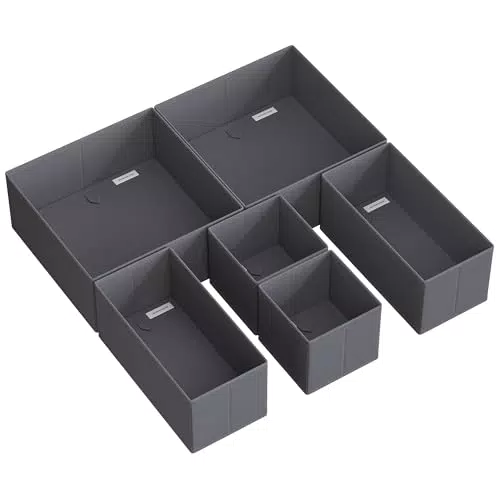 SONGMICS Divisore per Cassetti e Organizzatore per Armadio RDZ06G